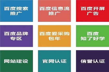 SEM竞价优化技巧分享：成功案例揭秘